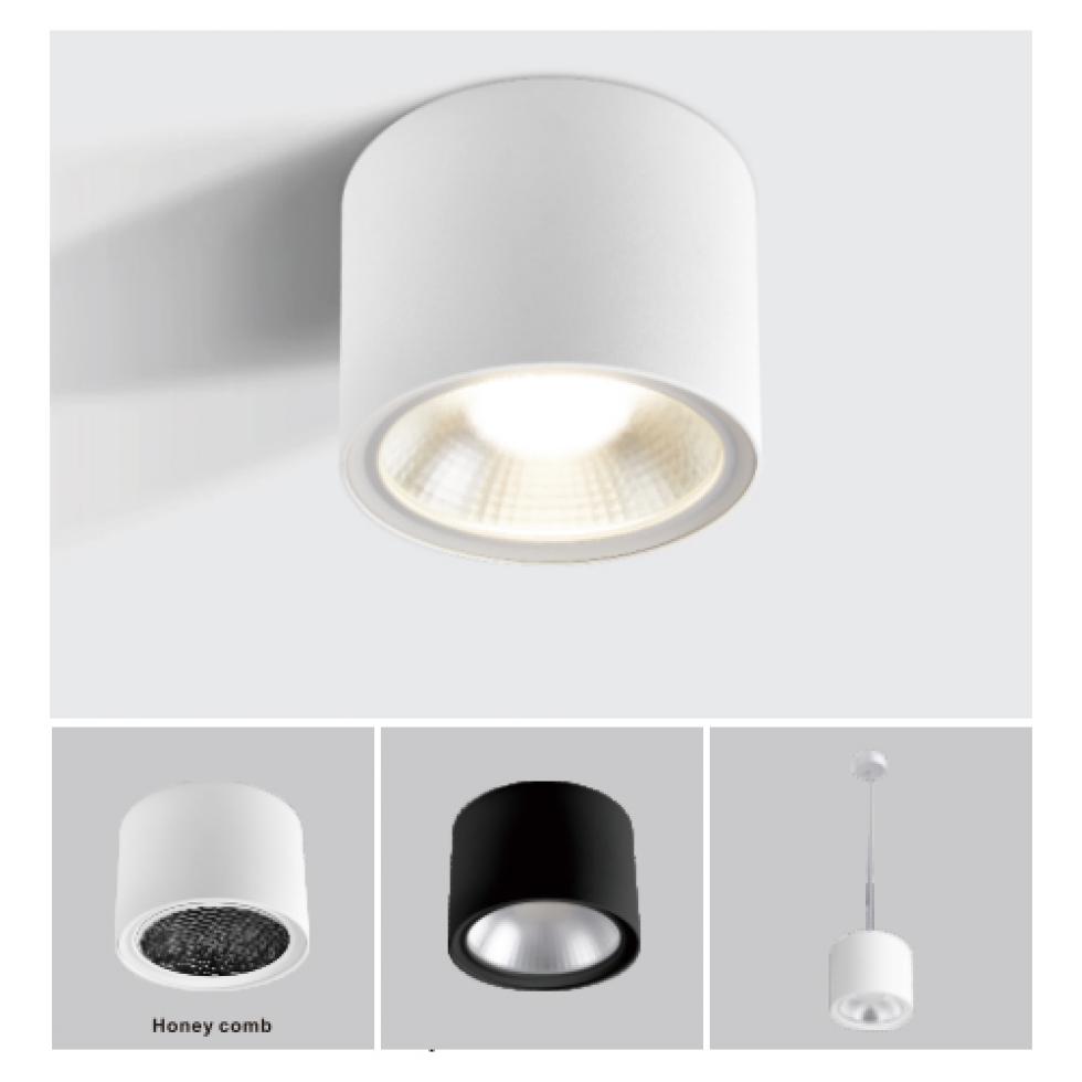 LED Downlight-LRDL238