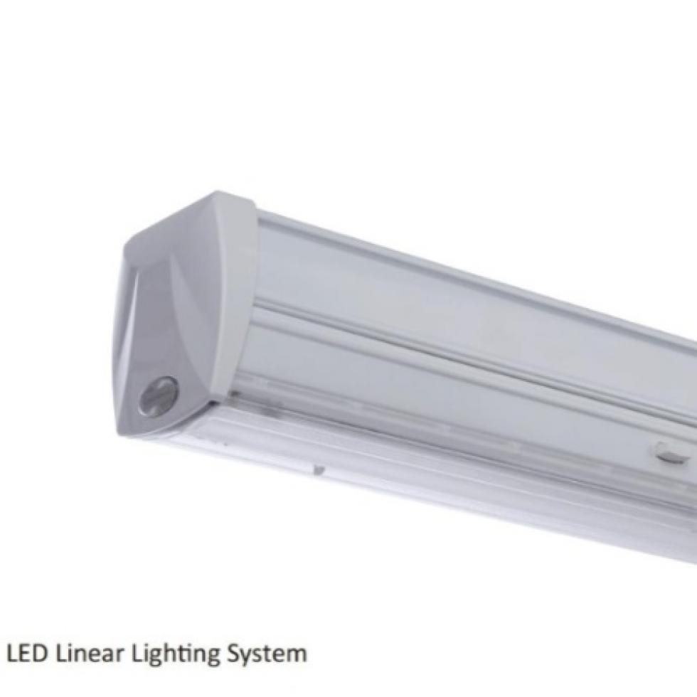 Modern Trunk linear light